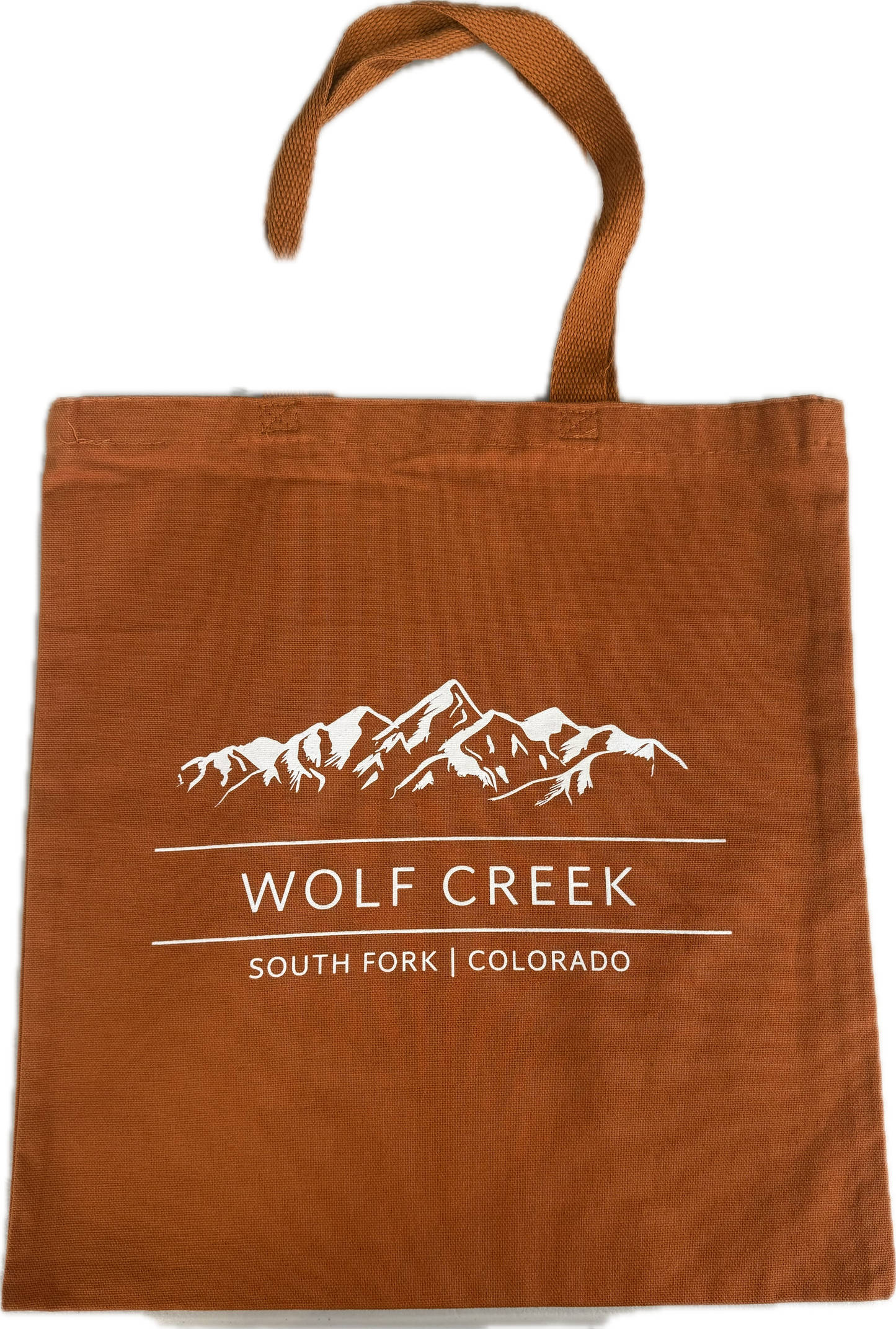 Colored Canvas Simple Tote Bag