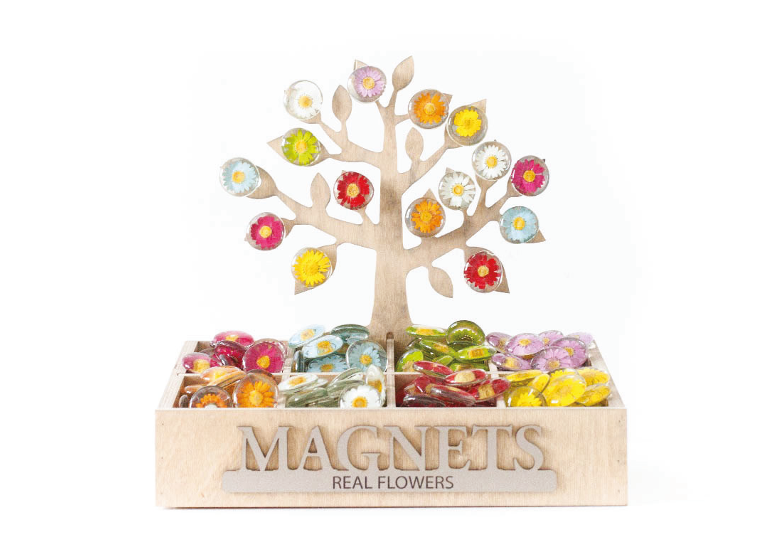 Pressed Flower Magents