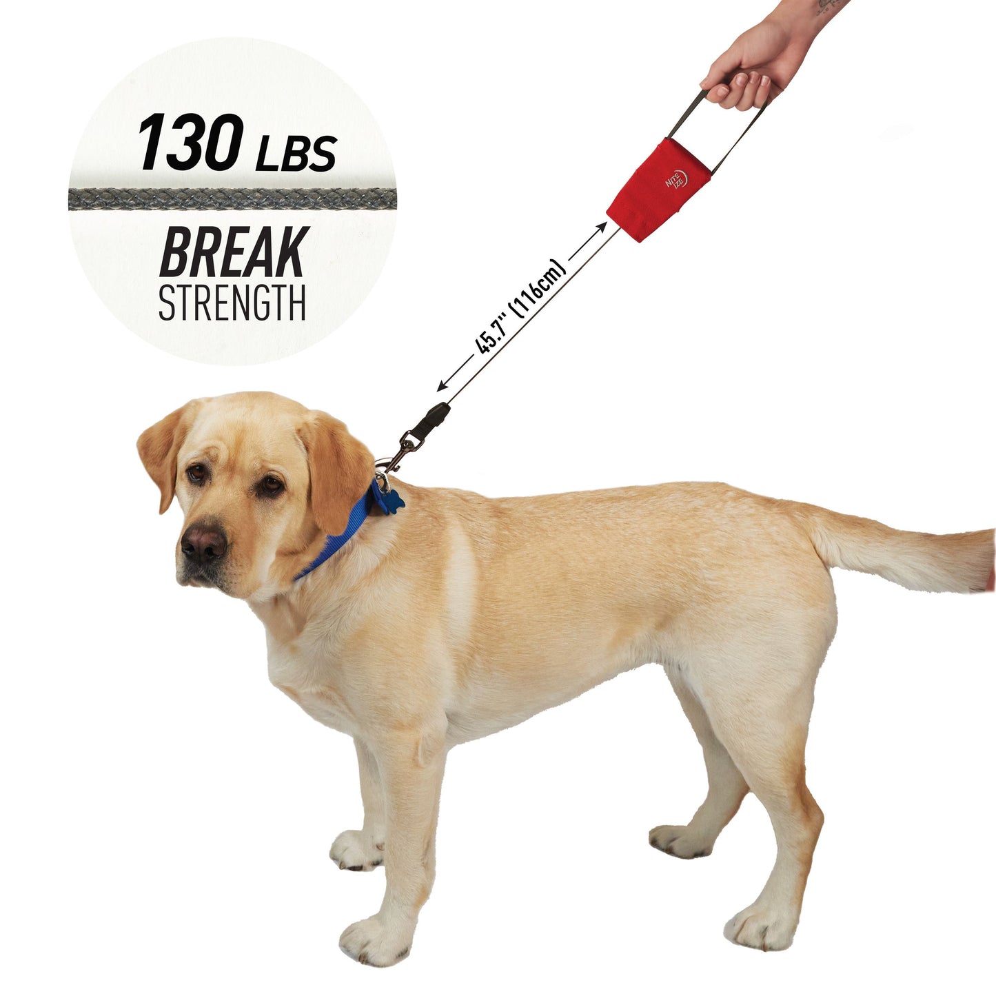 RadDog™ Retractable Pocket Leash