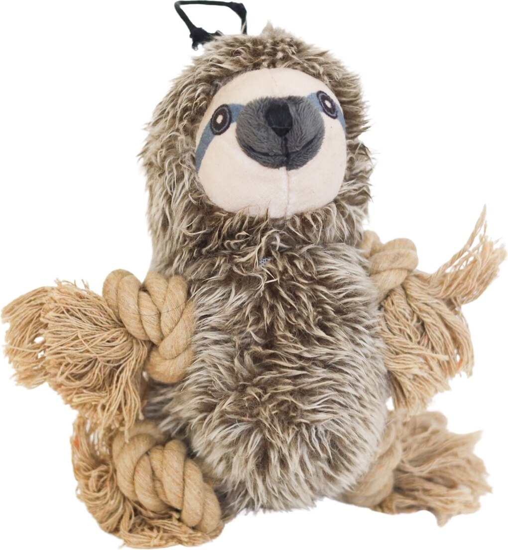 Roper Prairie Sloth