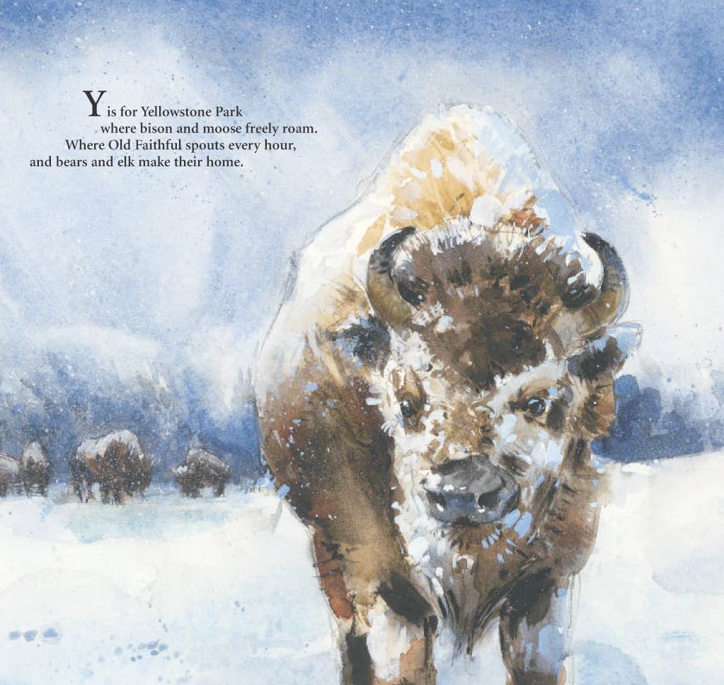 S is for S'mores: A Camping Alphabet Picture Book