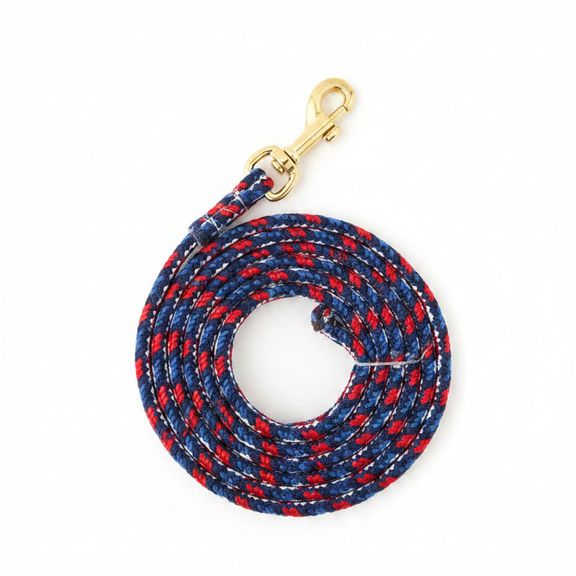 Star Spangled Leash