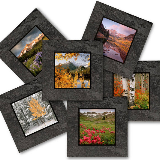 Charcoal Slate Coasters - Assorted CO