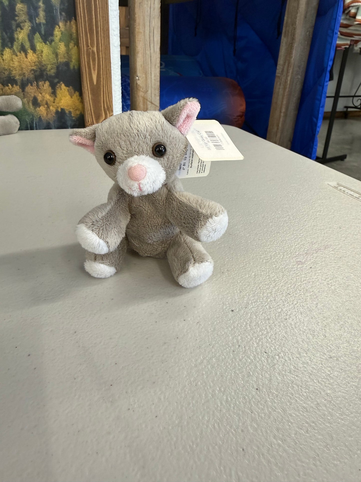 Sit Up Grey Cat