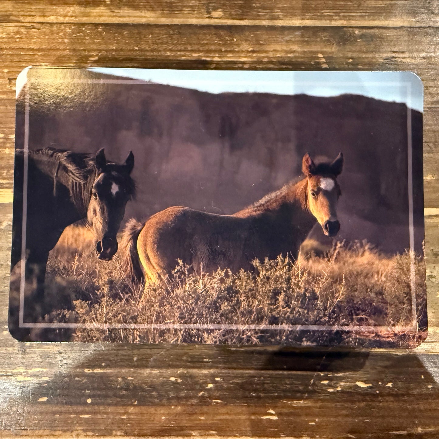 Monument Valley Postcard