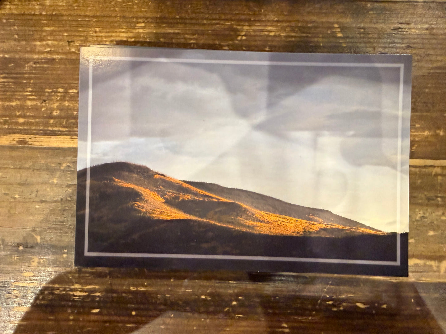 SLV Postcard