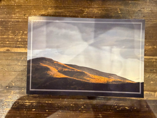 SLV Postcard