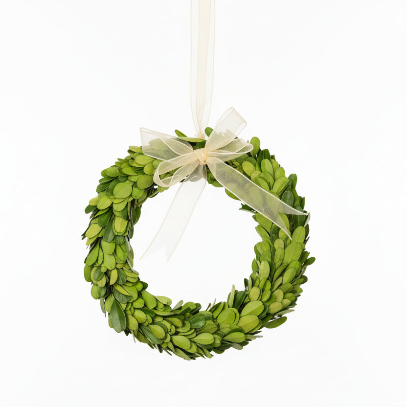 Preserved Boxwood Wreaths with Ivory Ribbon
