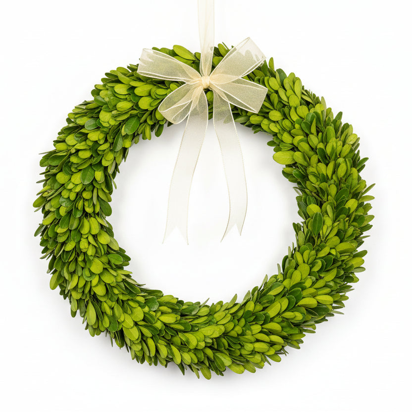 Preserved Boxwood Wreaths with Ivory Ribbon