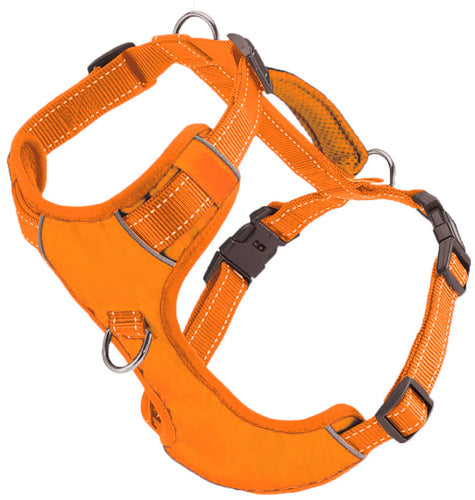 Baydog Chesapeake Harness