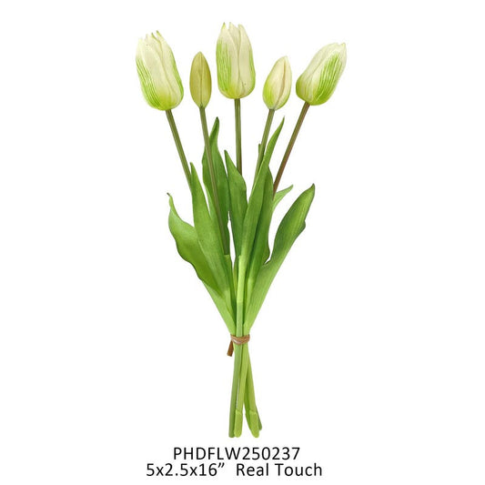 White-Green Tulip Bunch