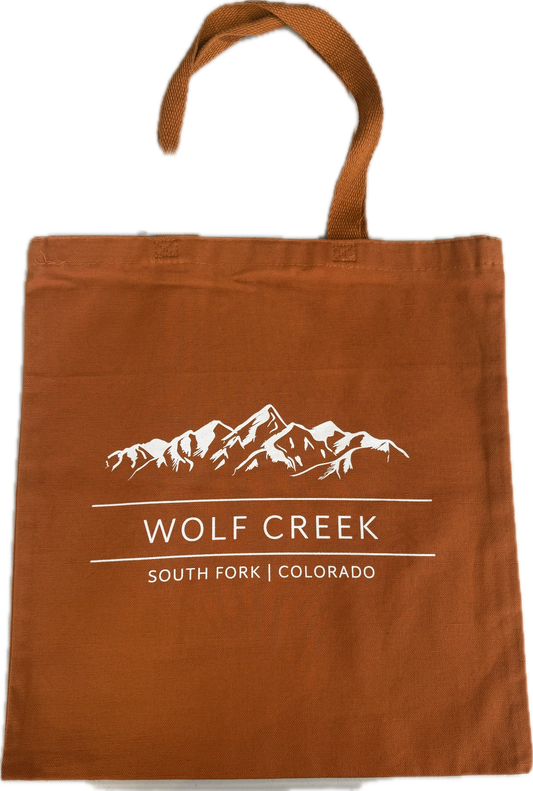 Colored Canvas Simple Tote Bag