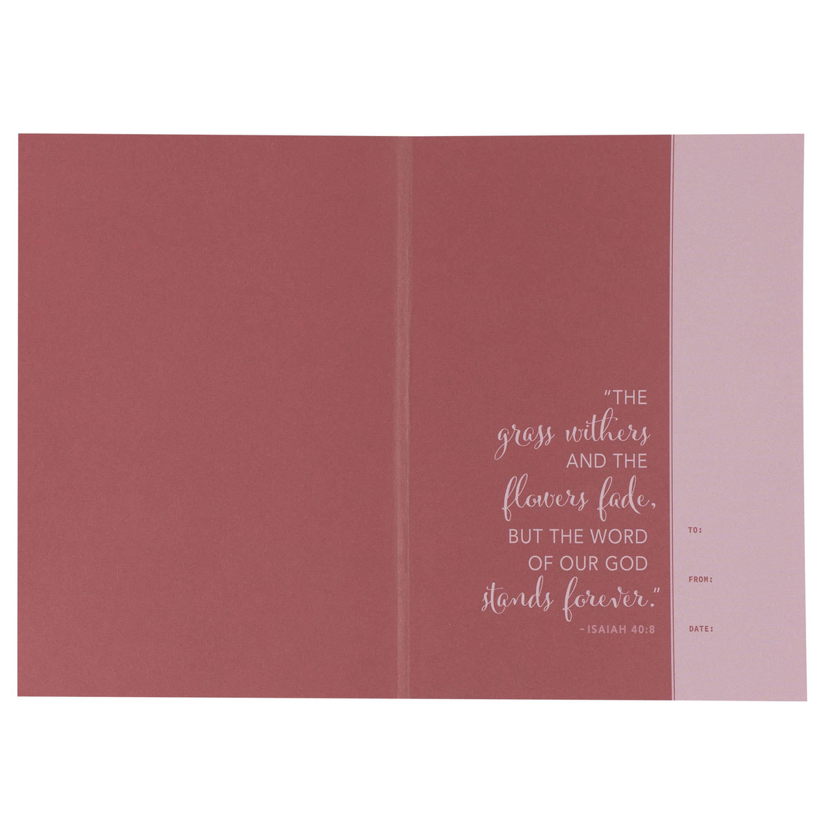 Devotional Bible NLT for Women Softcover, Floral