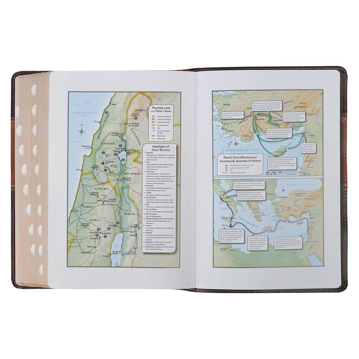 KJV Study Bible Faux Leather, Two-tone Brown
