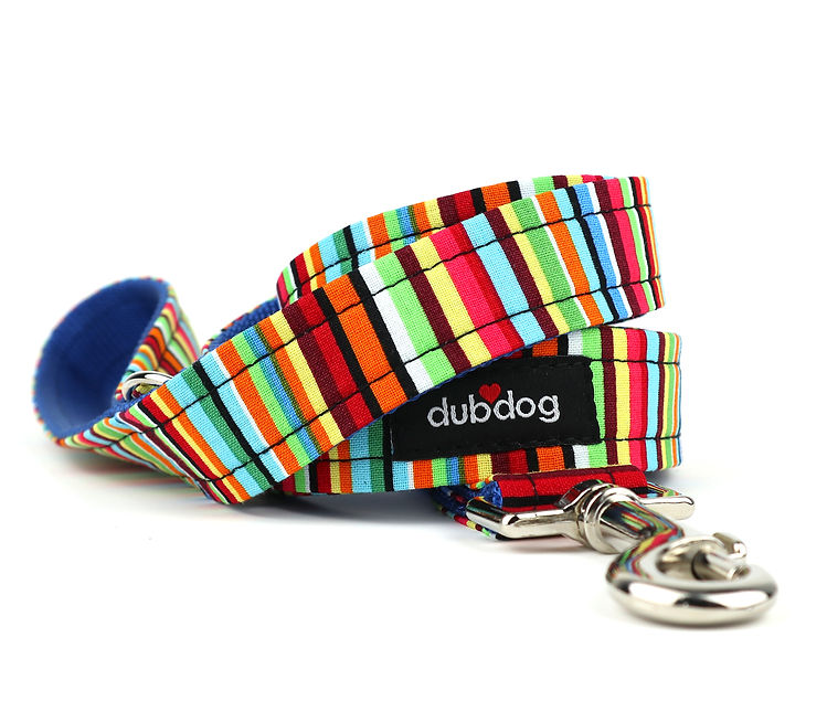 Milo Leash