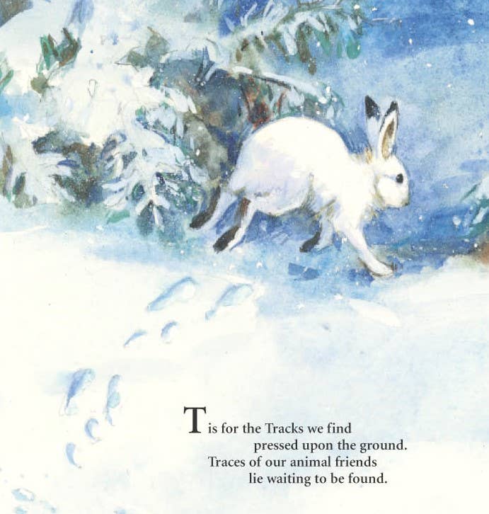 S is for S'mores: A Camping Alphabet Picture Book