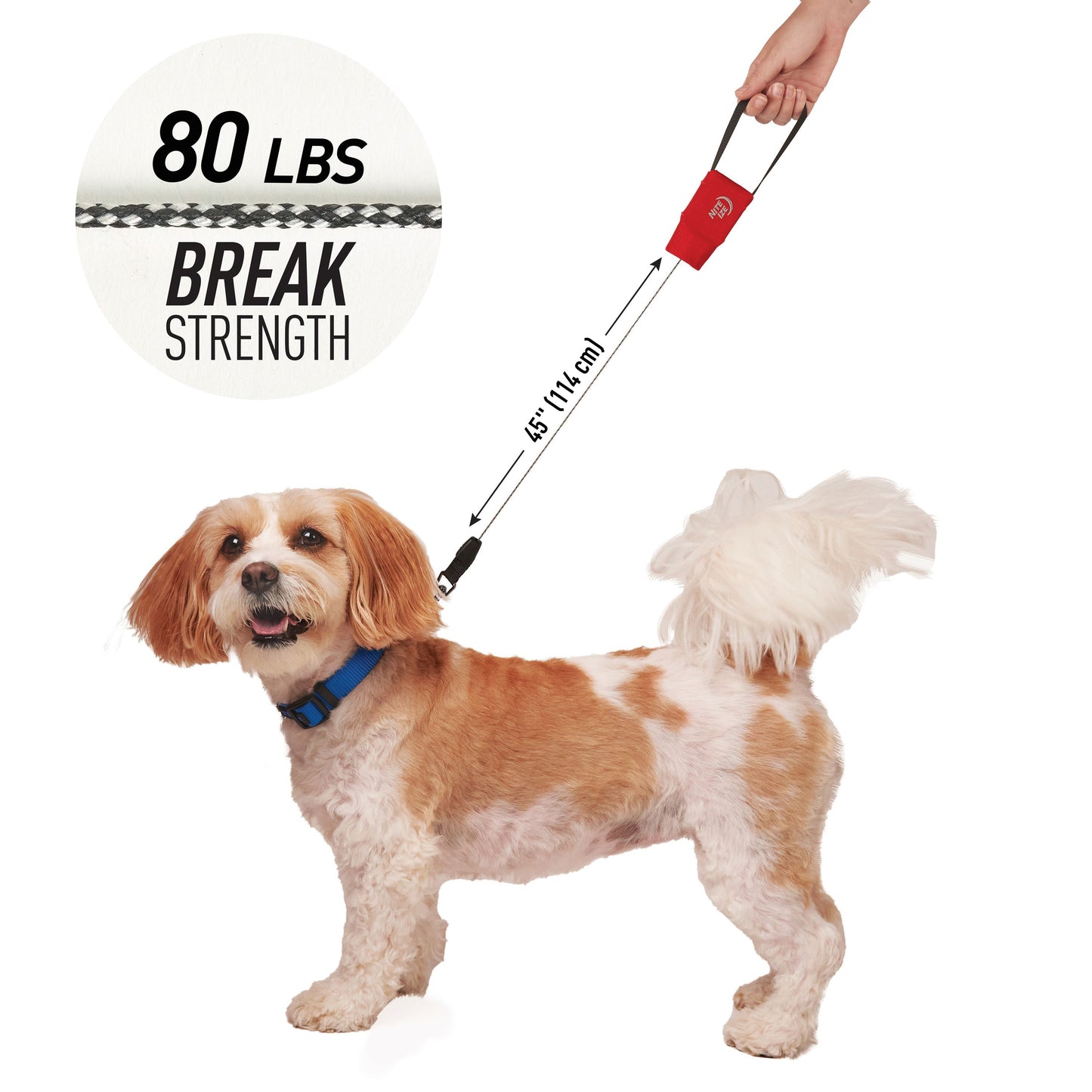 RadDog™ Retractable Pocket Leash
